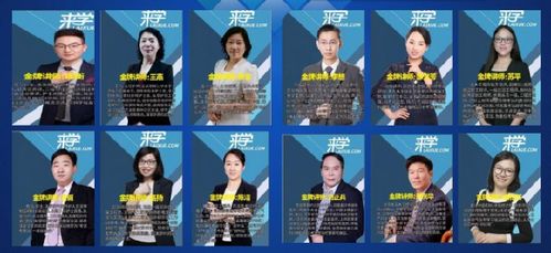 来学网 网络技术软件研发与销售的实力探析